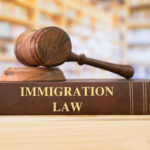 immigration law